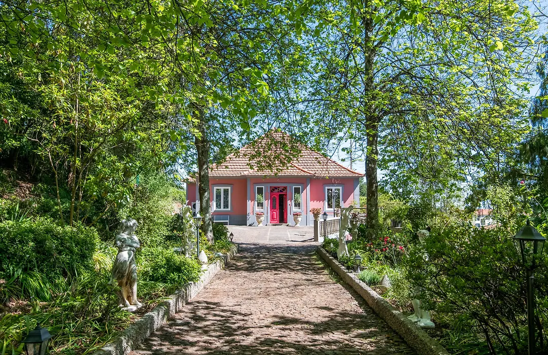 Villa Camelia Boutique House-1