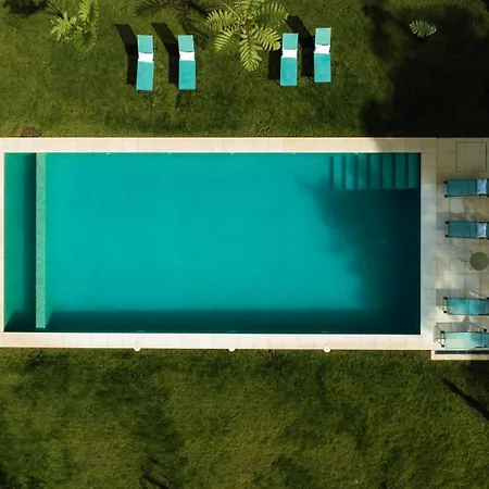 Villa Camelia Boutique House-3