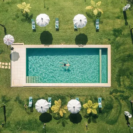 Villa Camelia Boutique House-2